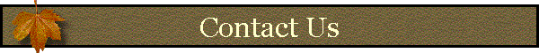 Contact Us Form